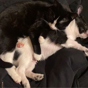 Meet your Posher, Alexa